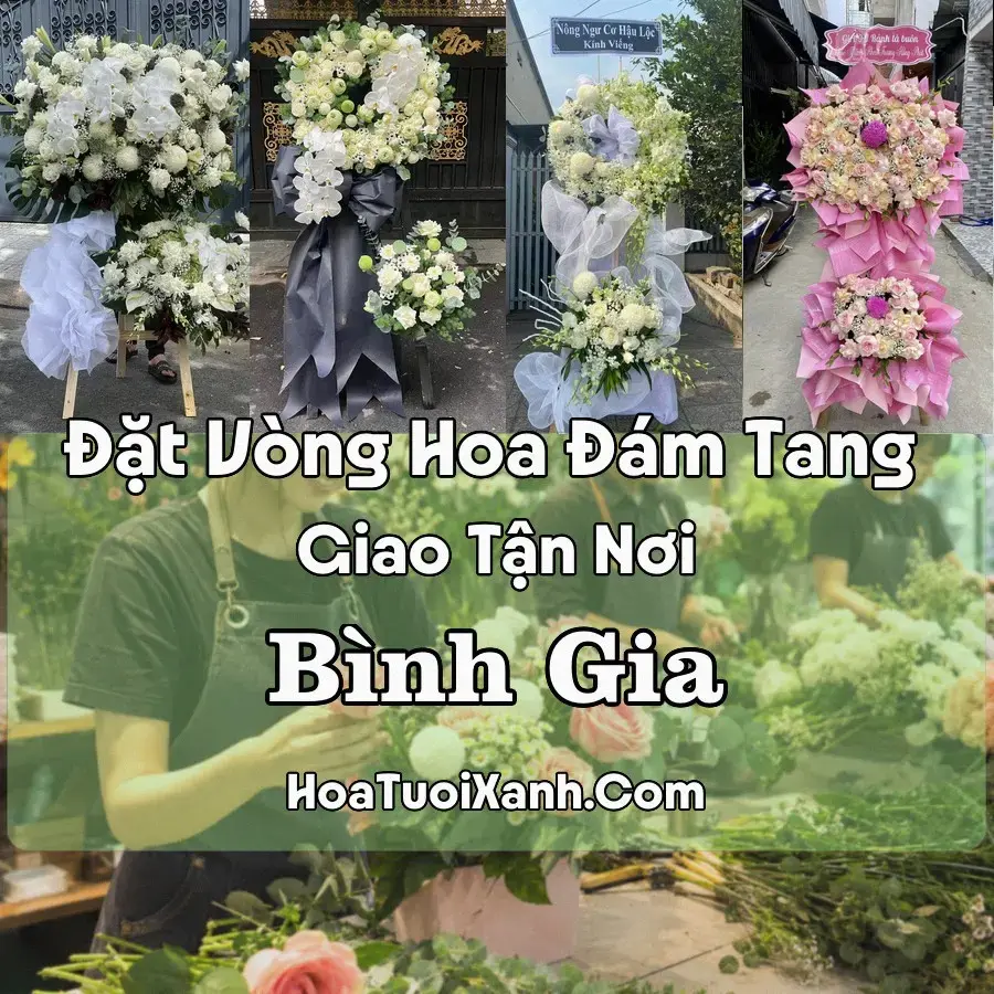 Hoa Đám Tang Bình Gia (Xã Bình Gia, Lạng Sơn mới)