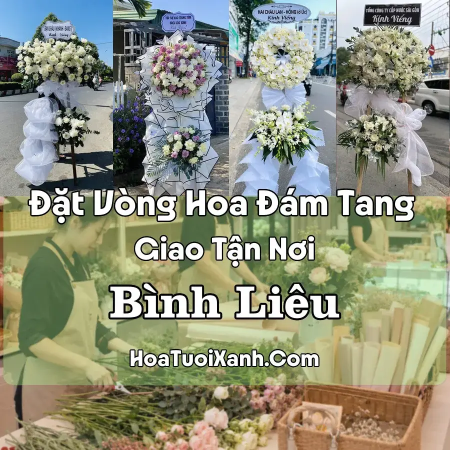 Hoa Đám Tang Bình Liêu (Xã Bình Liêu, Quảng Ninh mới)