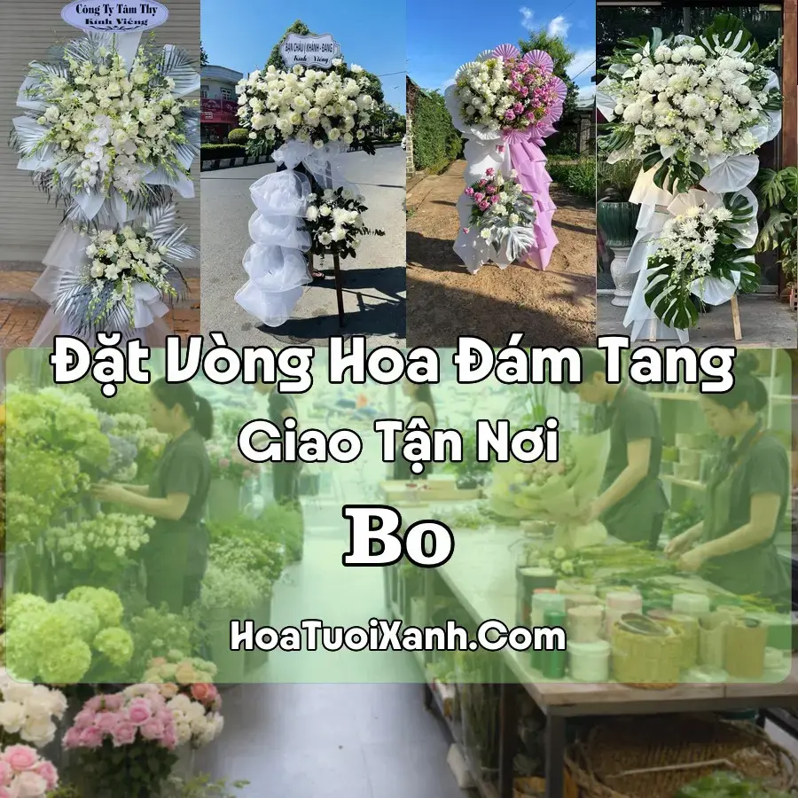 Hoa Đám Tang Bo (Xã Kim Bôi, Nật Sơn, Hương Sơn, Phú Thọ mới)