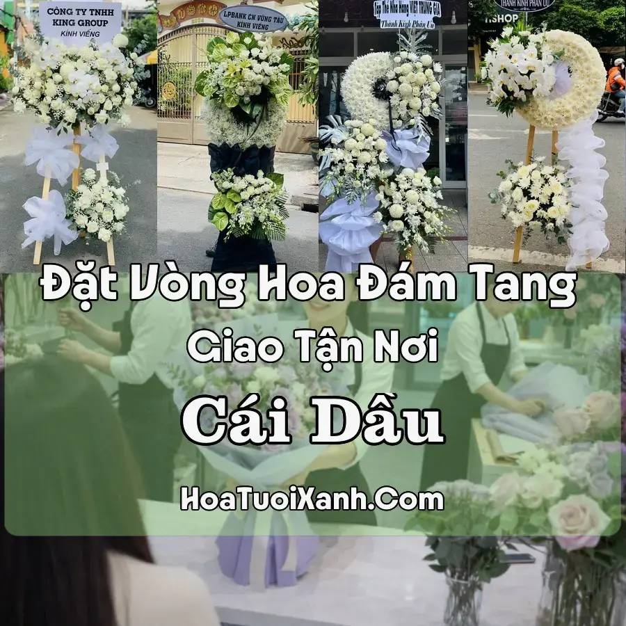 Hoa Đám Tang Cái Dầu (Xã Châu Phú, An Giang mới)