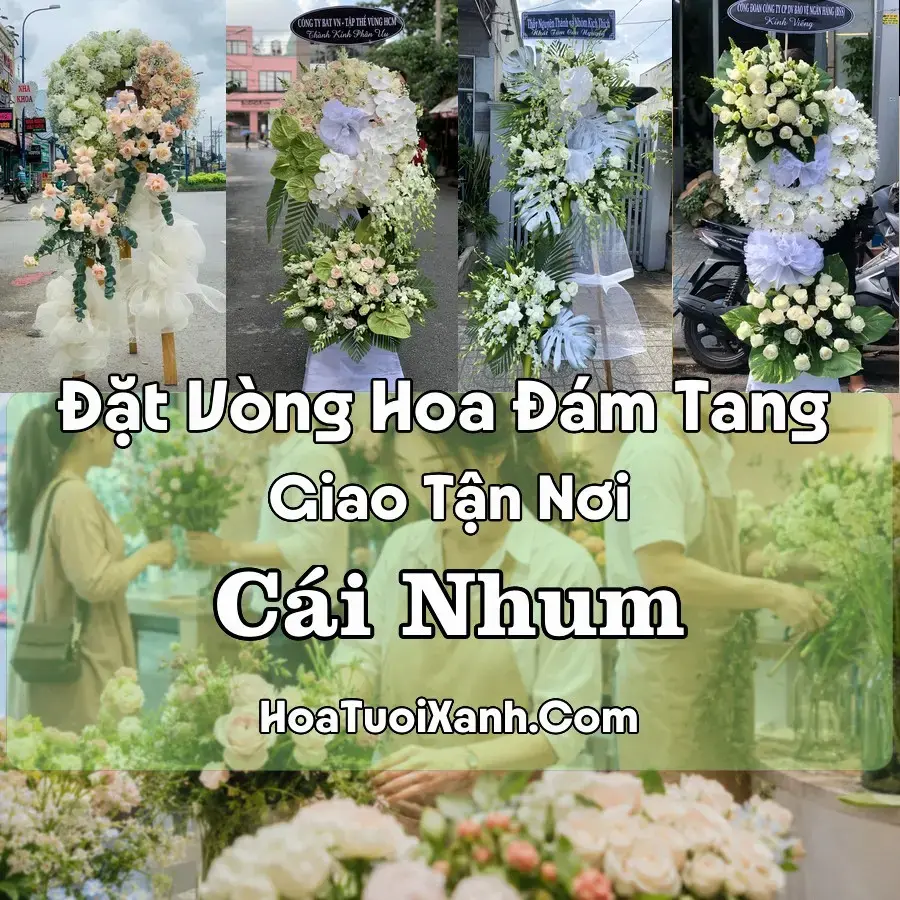 Hoa Đám Tang Cái Nhum (Xã Cái Nhum, Vĩnh Long mới)