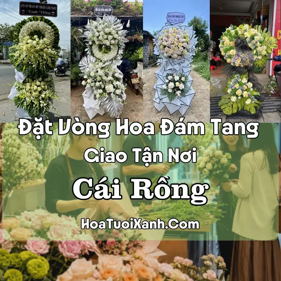 Hoa đám tang Cái Rồng