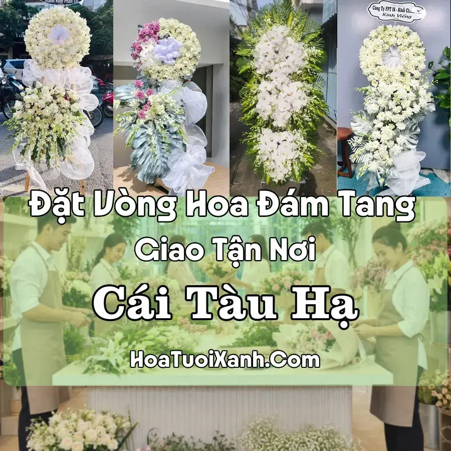 Hoa đám tang Cái Tàu Hạ