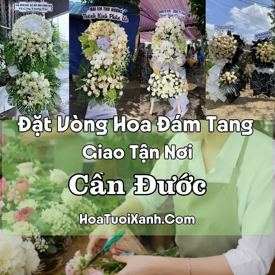 Hoa Đám Tang Cần Đước (Xã Cần Đước, Tây Ninh mới)