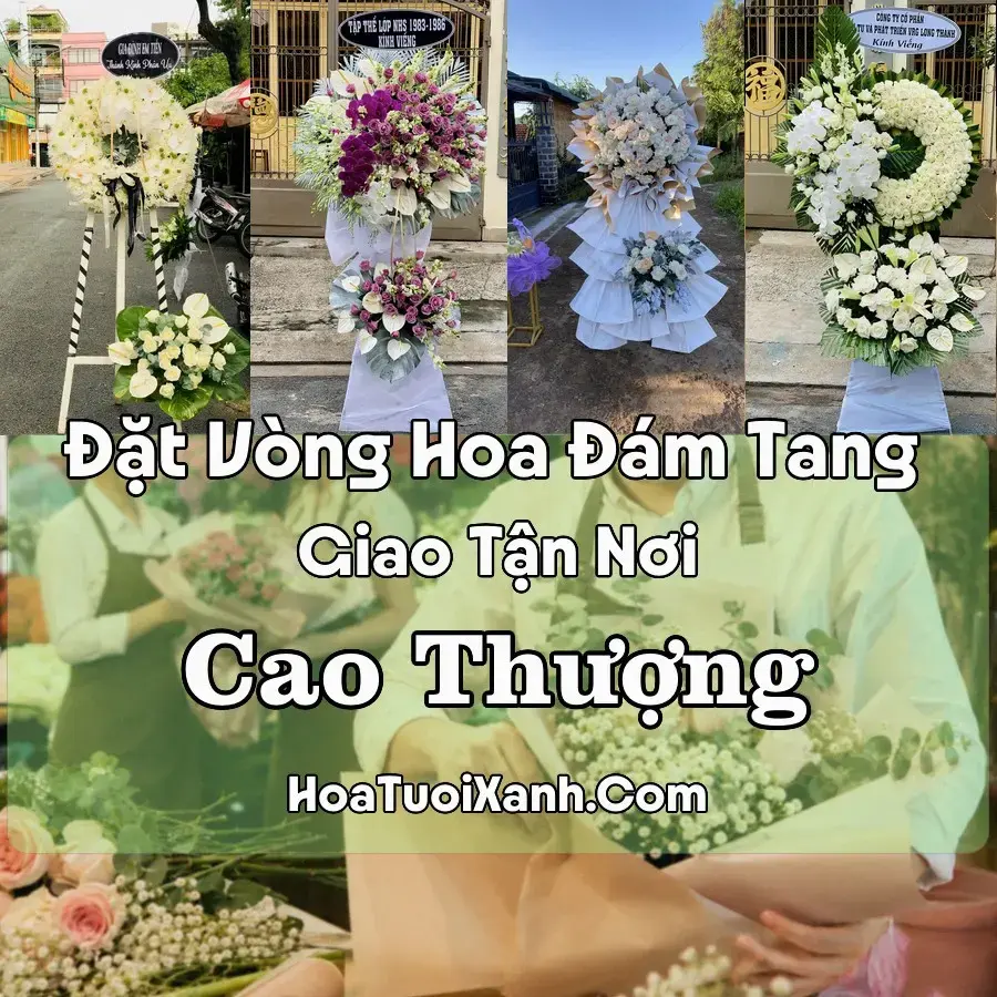 Hoa đám tang Cao Thượng