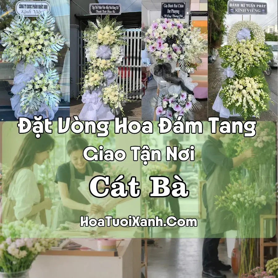 Hoa Đám Tang Cát Bà (Đặc khu Cát Hải, Hải Phòng mới)