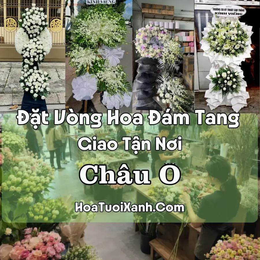 Hoa Đám Tang Châu Ổ (Xã Bình Sơn, Quảng Ngãi mới)