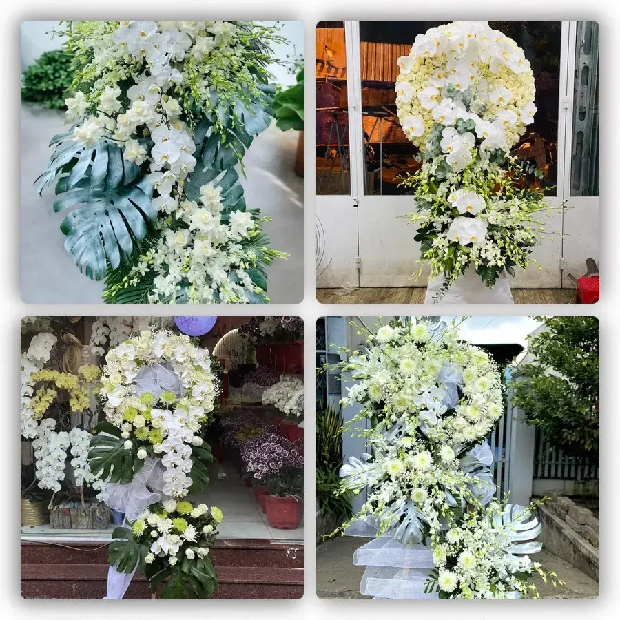 Bốn mẫu hoa đám tang Chi Đông