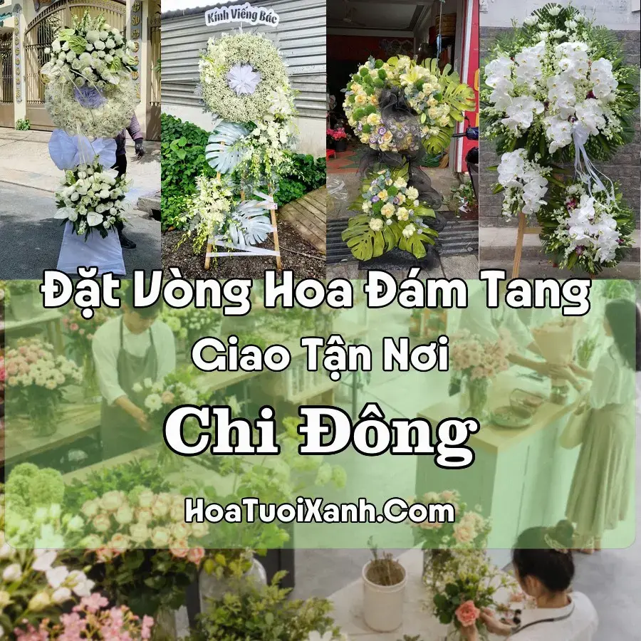 Hoa đám tang Chi Đông