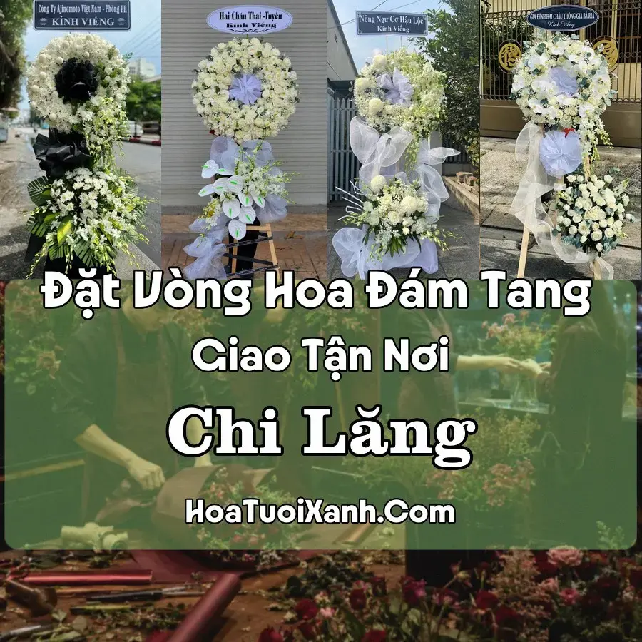 Hoa đám tang Chi Lăng