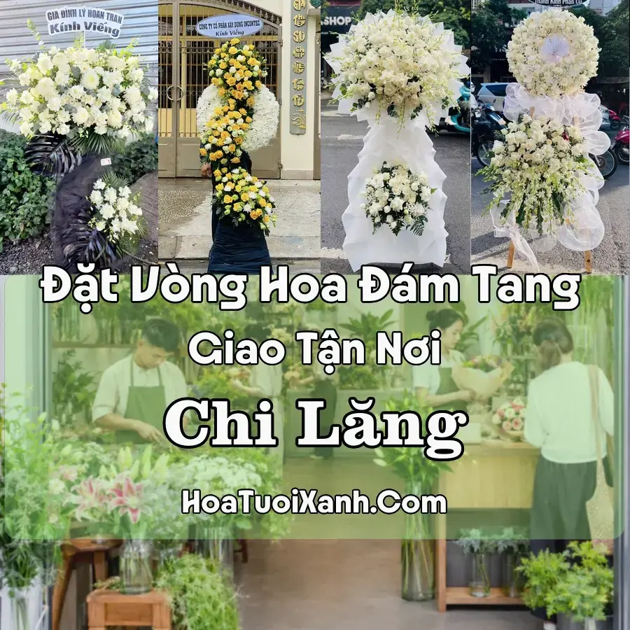 Hoa Đám Tang Chi Lăng (Xã Chi Lăng, Lạng Sơn mới)