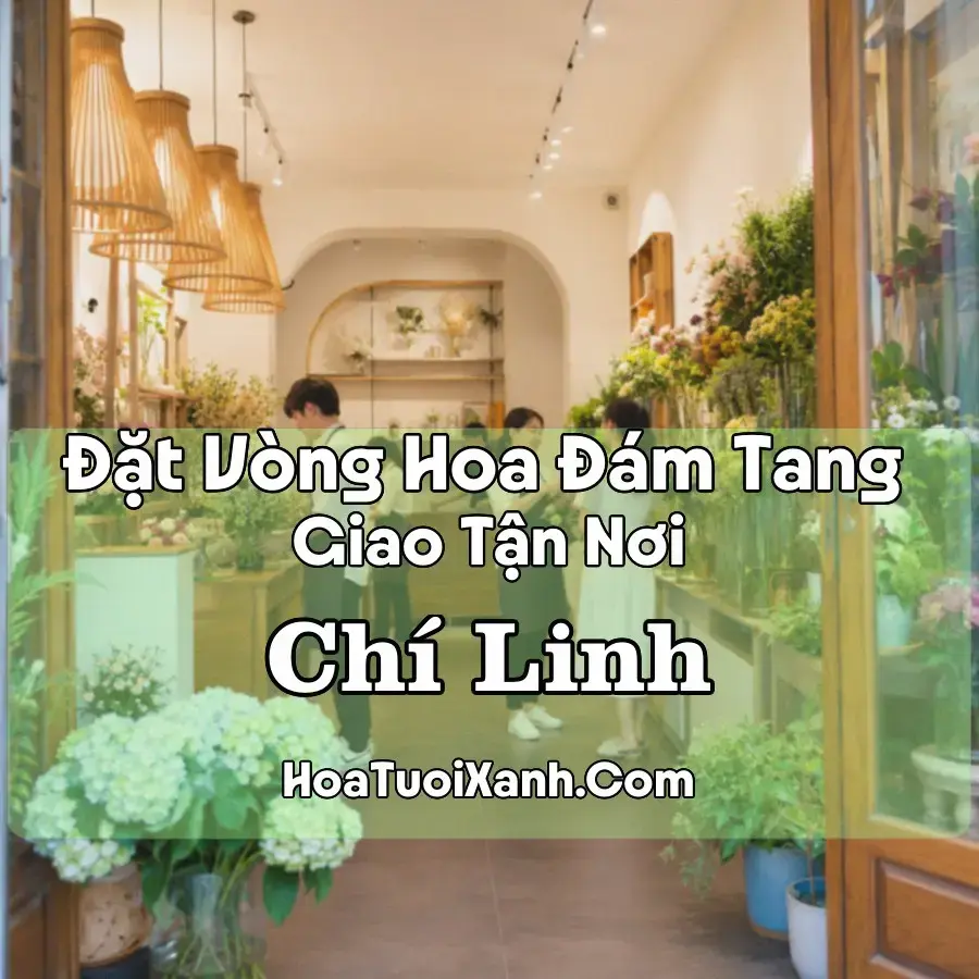 Hoa Đám Tang Chí Linh (Phường Chu Văn An, Trần Nhân Tông, Hải Phòng mới)
