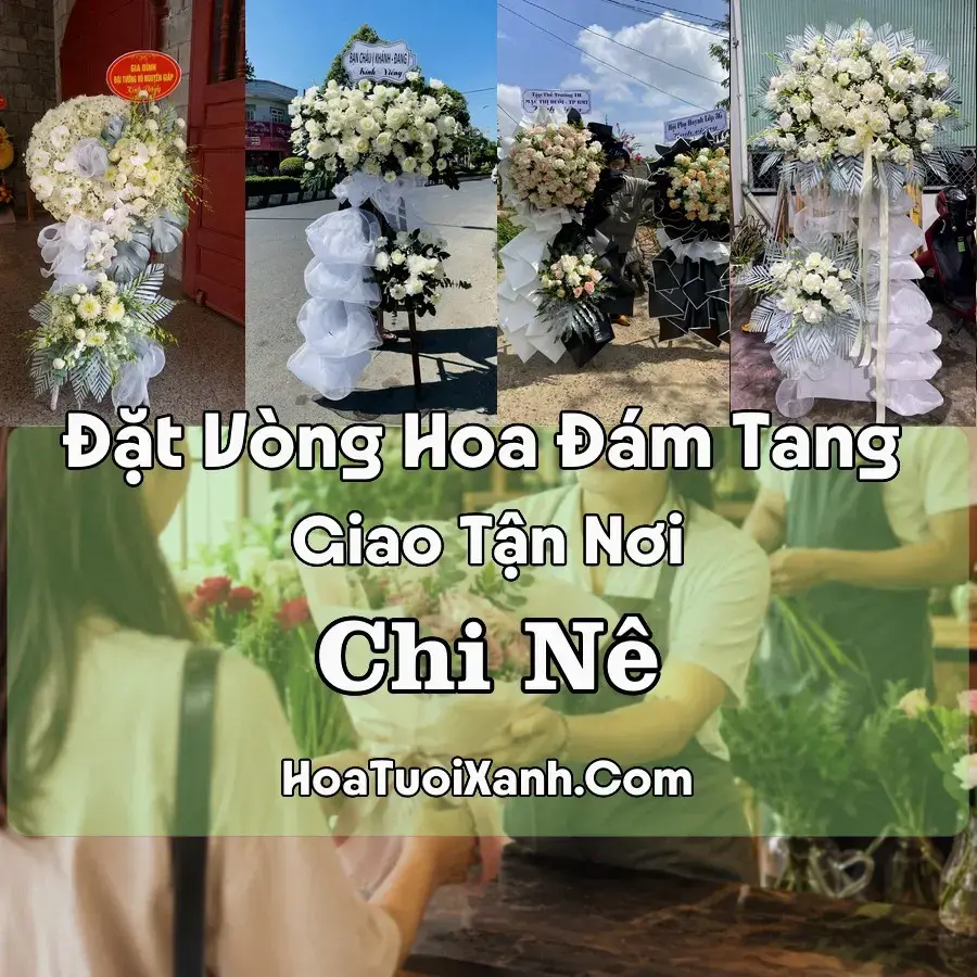 Hoa đám tang Chi Nê