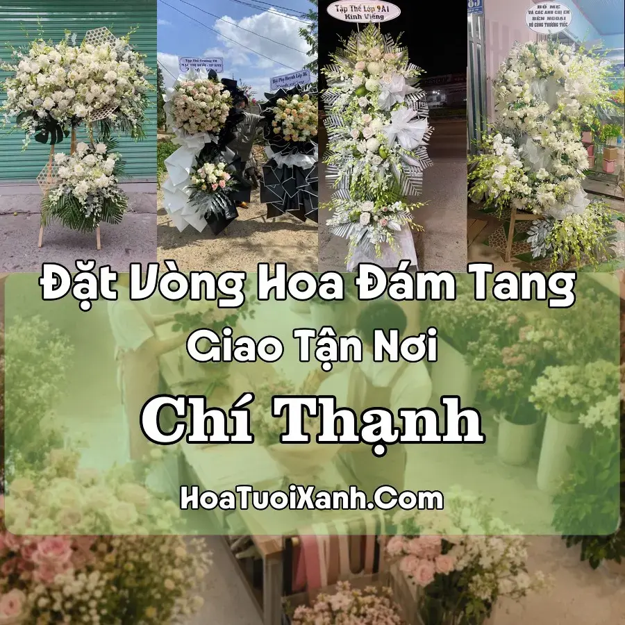 Hoa đám tang Chí Thạnh