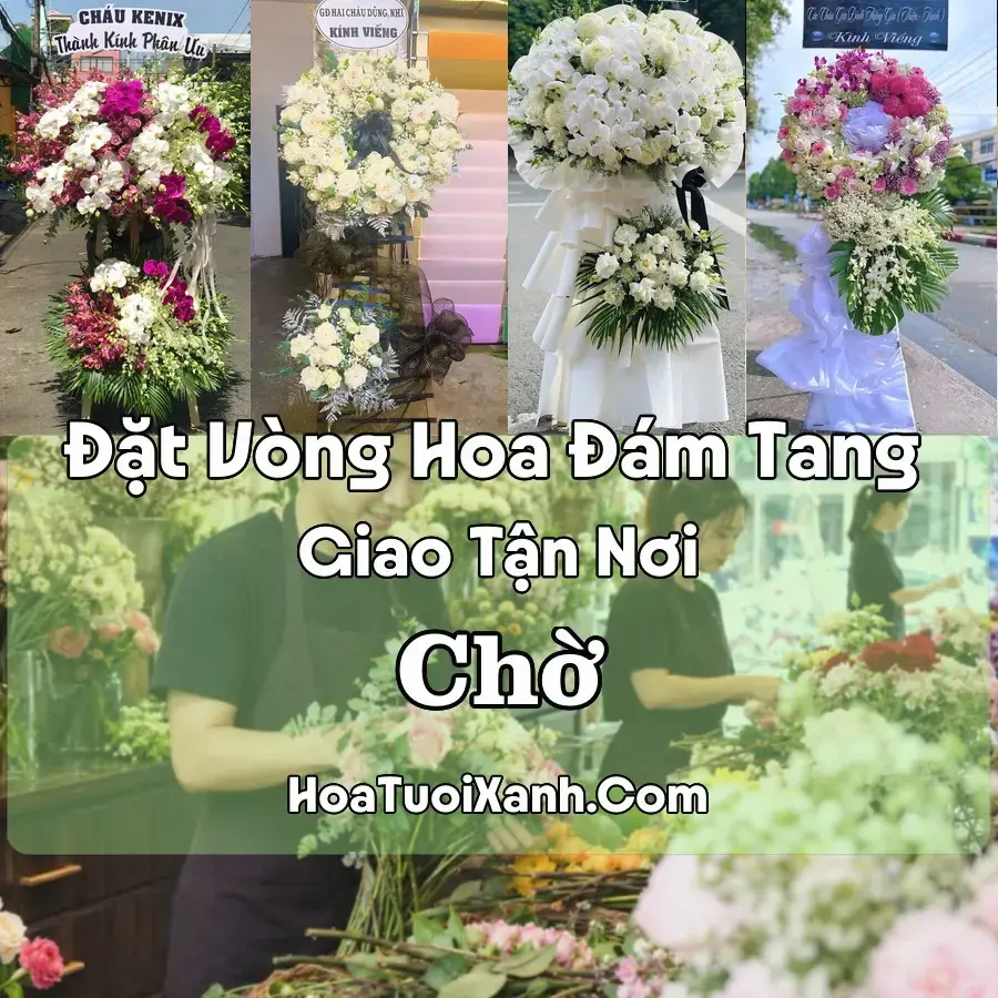 Hoa đám tang Chờ