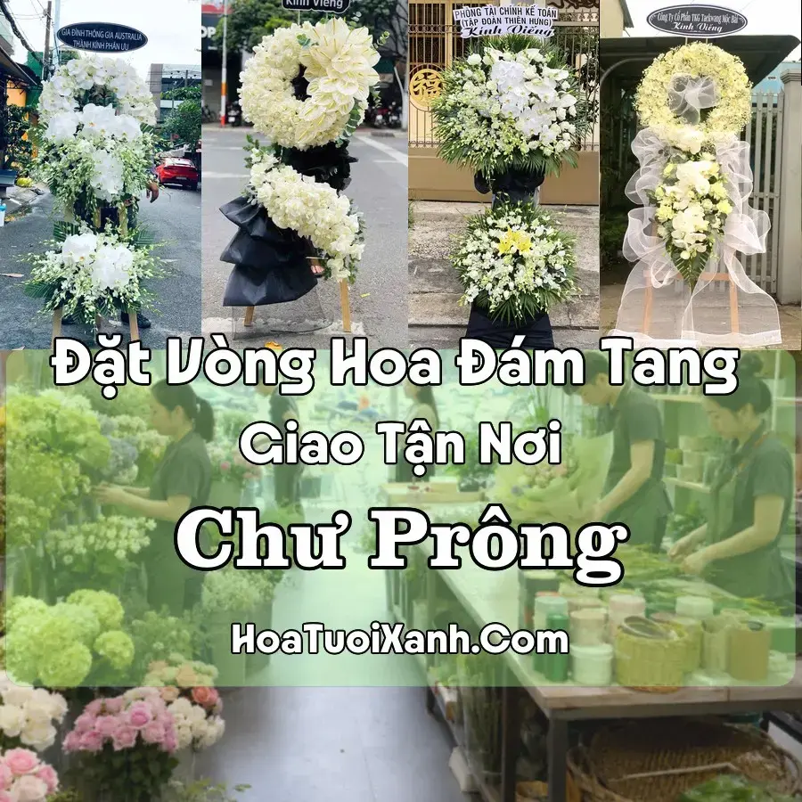 Hoa Đám Tang Chư Prông (Xã Chư Prông, Gia Lai mới)