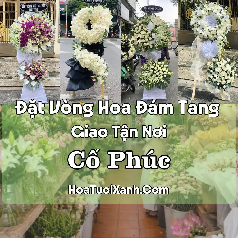 Hoa Đám Tang Cổ Phúc (Xã Trấn Yên, Lào Cai mới)