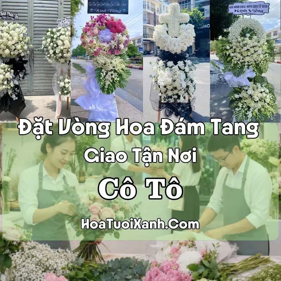 Hoa Đám Tang Cô Tô (Xã Cô Tô, An Giang mới)