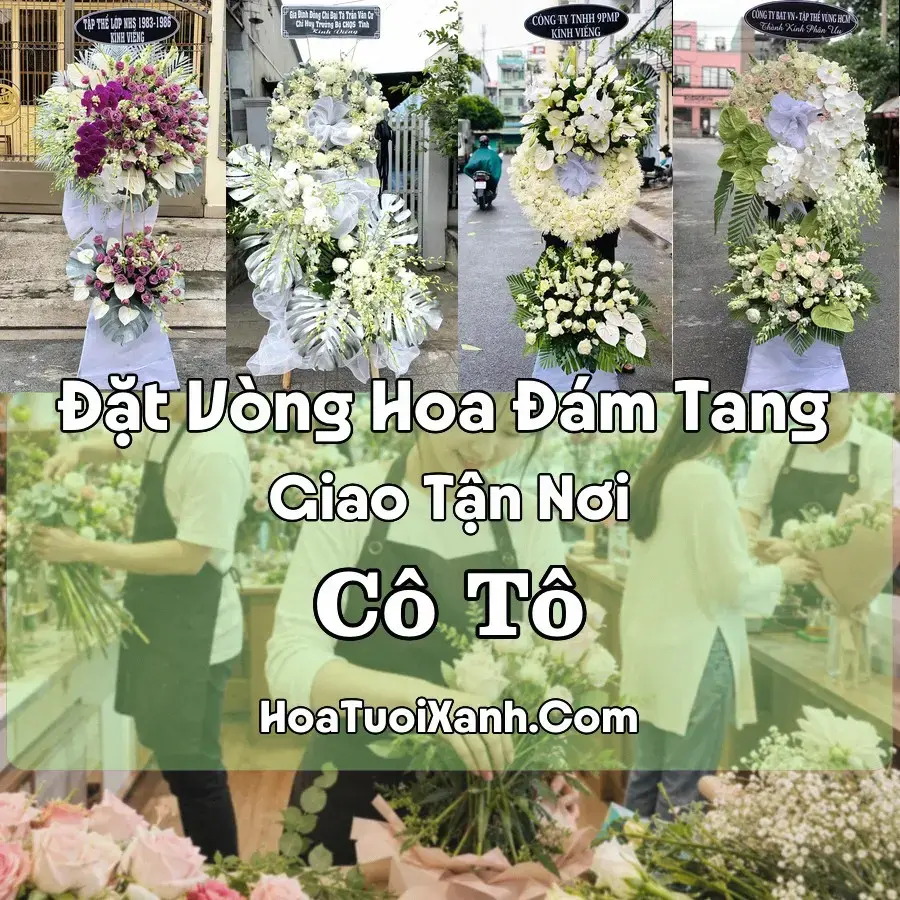 Hoa đám tang Cô Tô