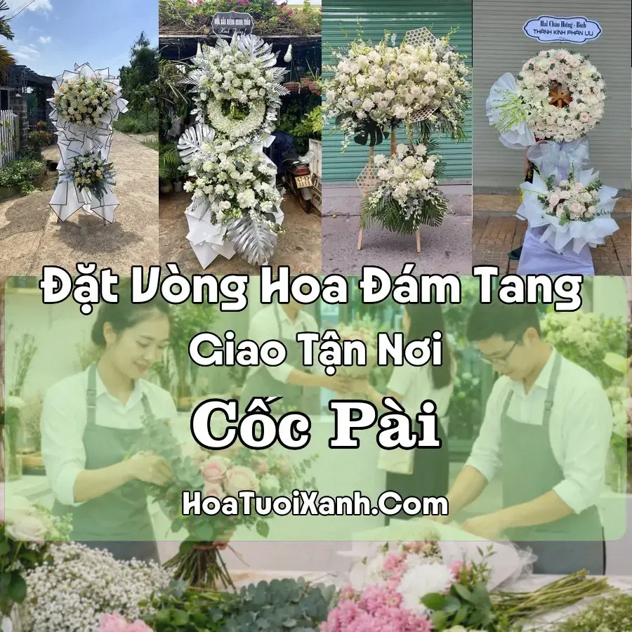 Hoa Đám Tang Cốc Pài (Xã Pà Vầy Sủ, Tuyên Quang mới)