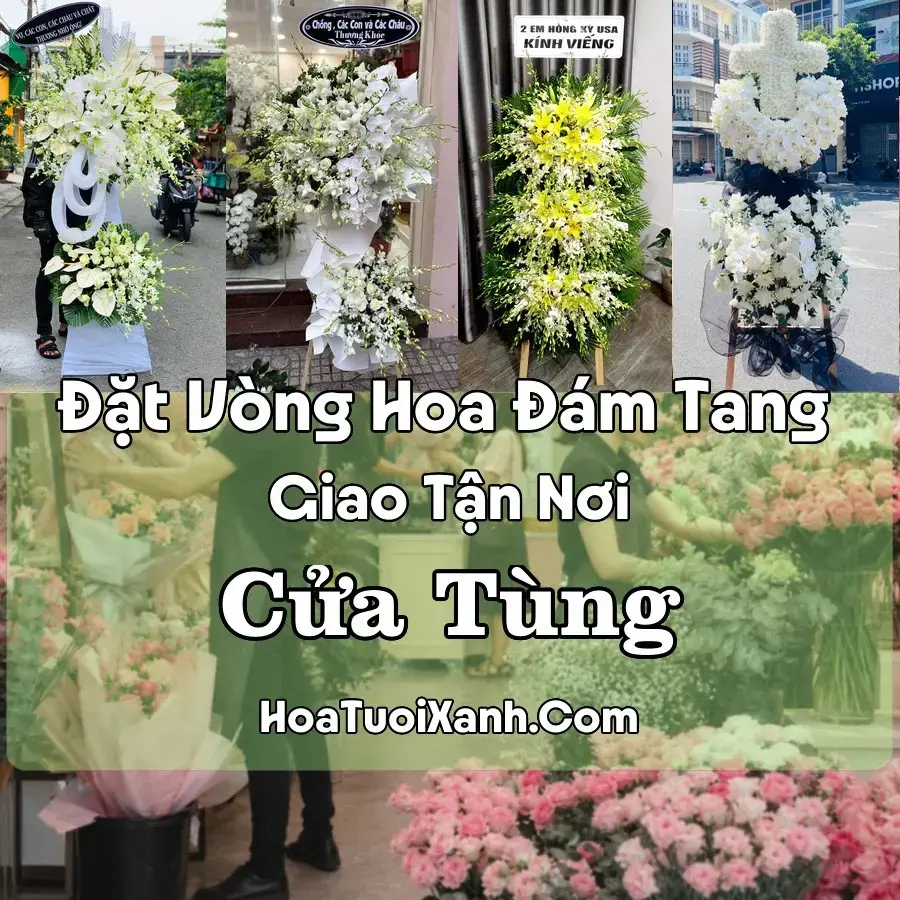 Hoa đám tang Cửa Tùng
