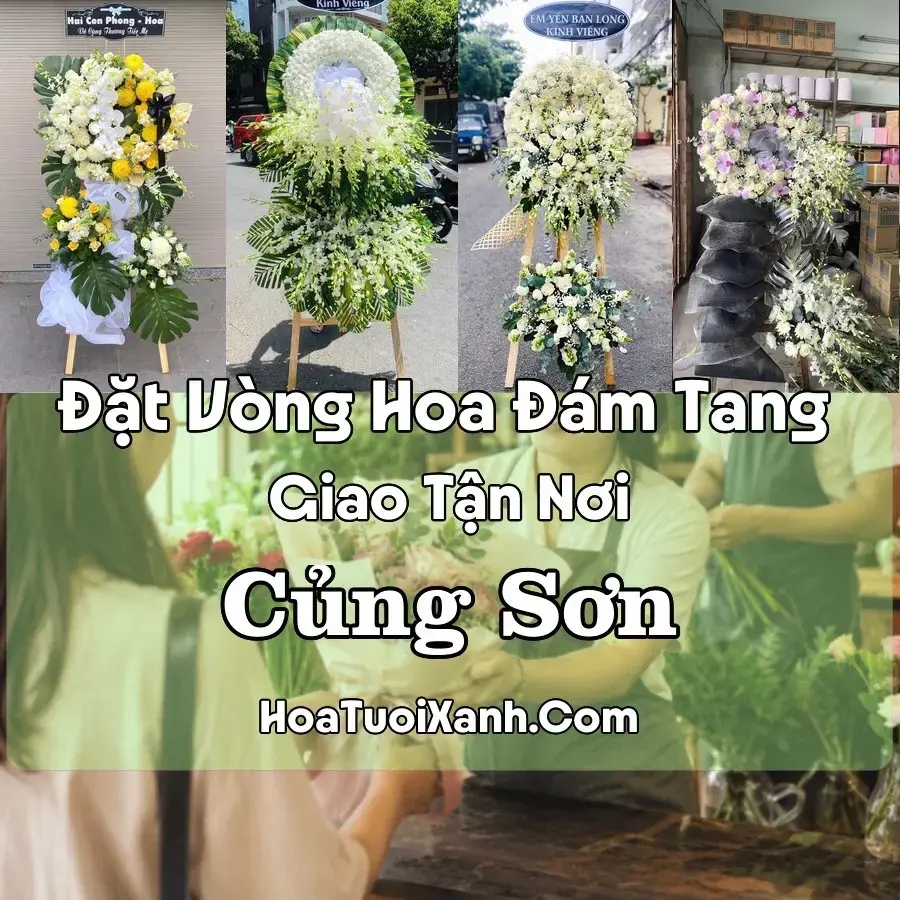 Hoa đám tang Củng Sơn