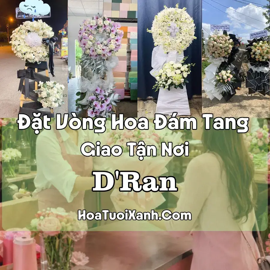Hoa đám tang D'Ran