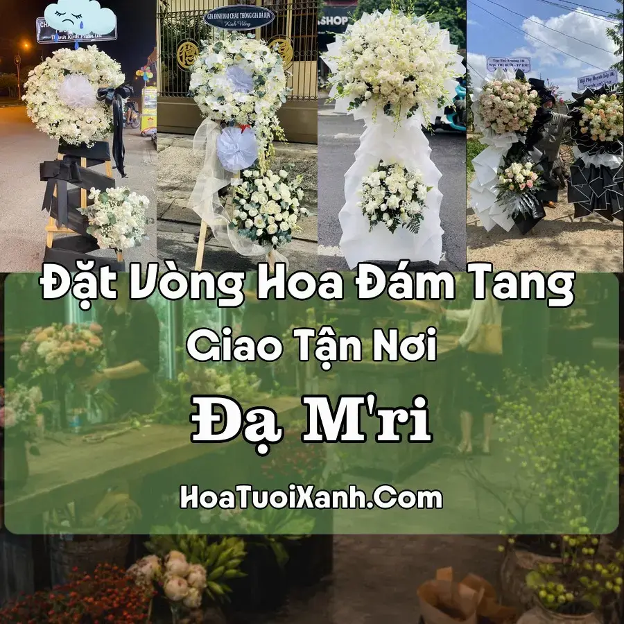Hoa Đám Tang Đạ M’ri (Xã Đạ Huoai 2, Lâm Đồng mới)