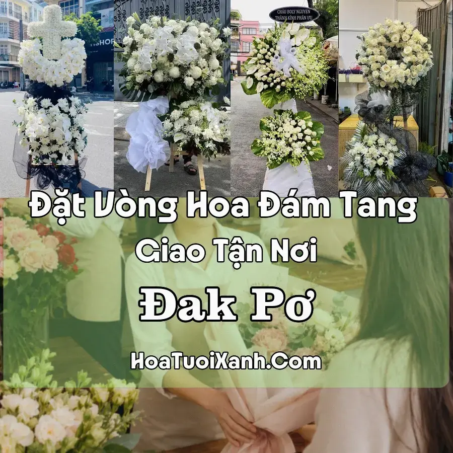 Hoa Đám Tang Đak Pơ (Xã Đak Pơ, Gia Lai mới)