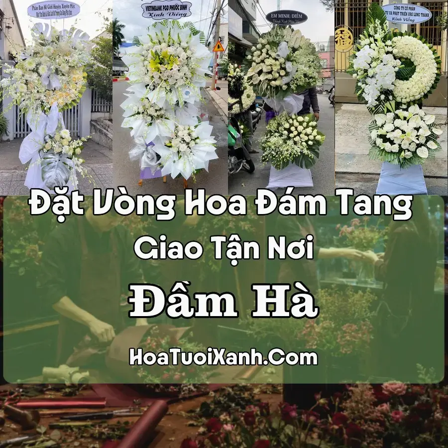 Hoa Đám Tang Đầm Hà (Xã Đầm Hà, Quảng Ninh mới)