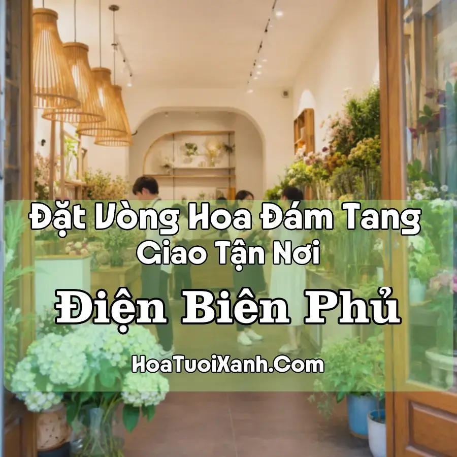 Hoa đám tang Điện Biên Phủ