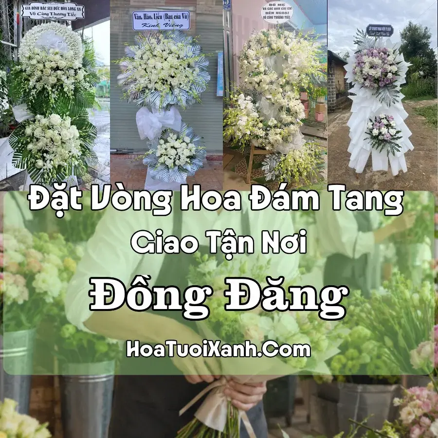 Hoa đám tang Đồng Đăng
