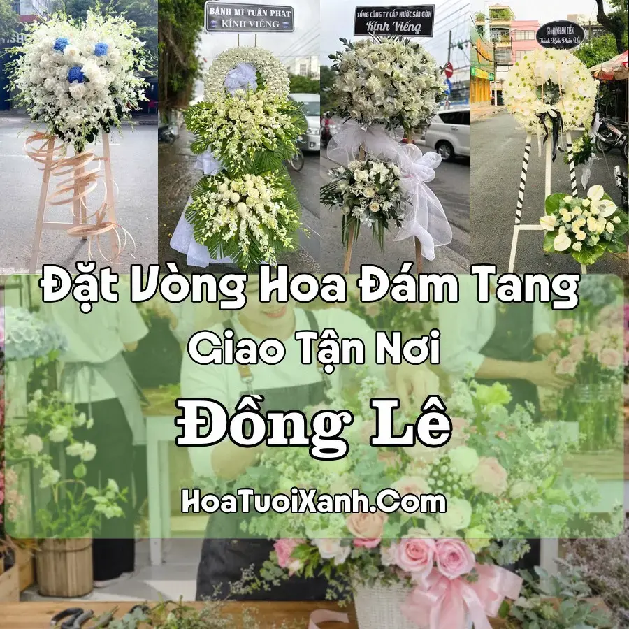 Hoa Đám Tang Đồng Lê (Xã Đồng Lê, Quảng Trị mới)