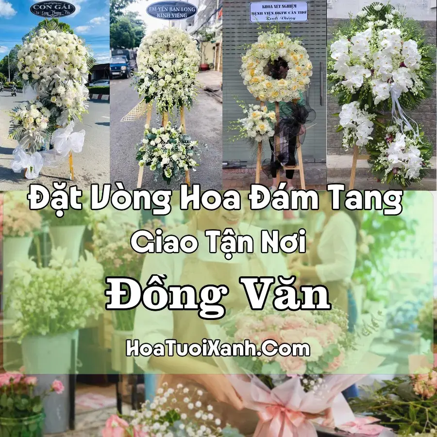 Hoa Đám Tang Đồng Văn (Xã Đồng Văn, Tuyên Quang mới)