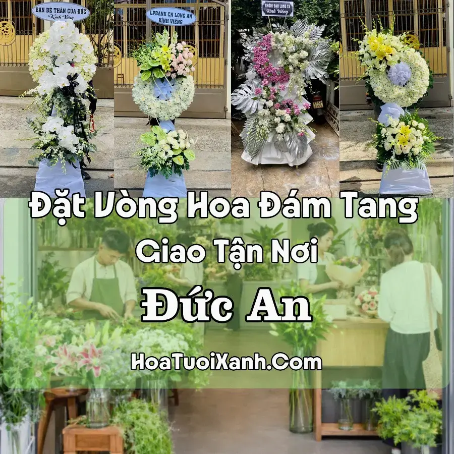 Hoa đám tang Đức An