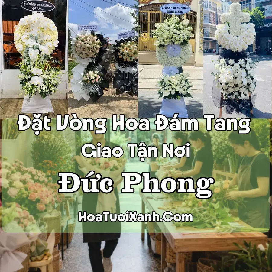 Hoa đám tang Đức Phong