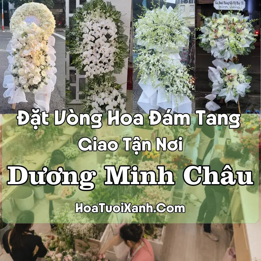 Hoa Đám Tang Dương Minh Châu (Xã Dương Minh Châu, Tây Ninh mới)