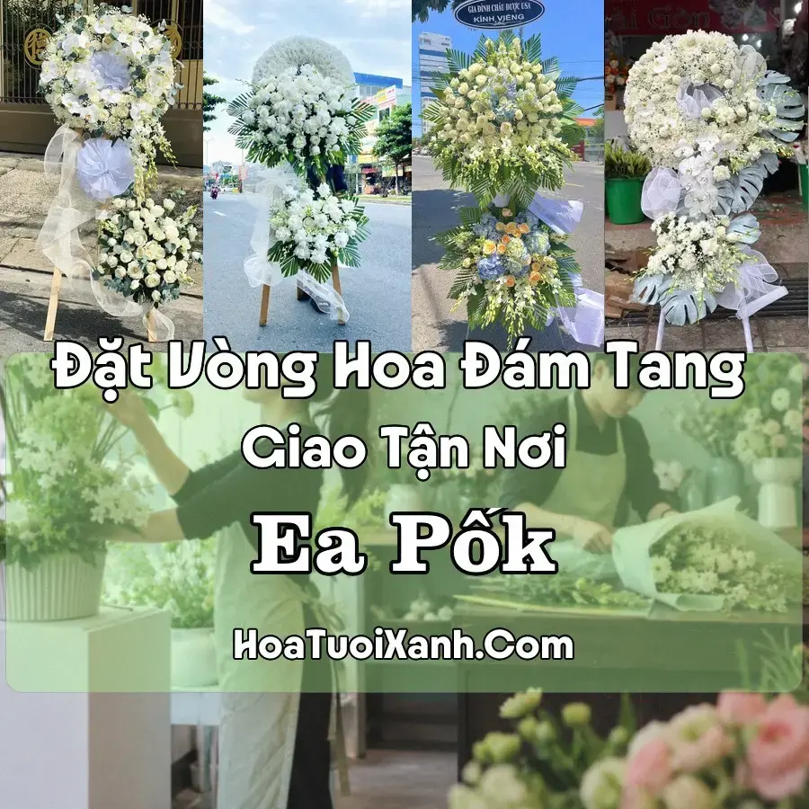 Hoa Đám Tang Ea Pốk (Xã Quảng Phú, Đắk Lắk mới)