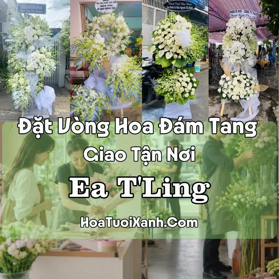 Hoa Đám Tang Ea T’Ling (Xã Cư Jút, Lâm Đồng mới)