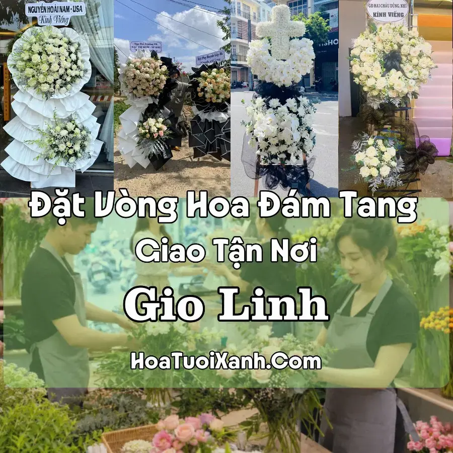 Hoa Đám Tang Gio Linh (Xã Gio Linh, Cồn Tiên, Quảng Trị mới)