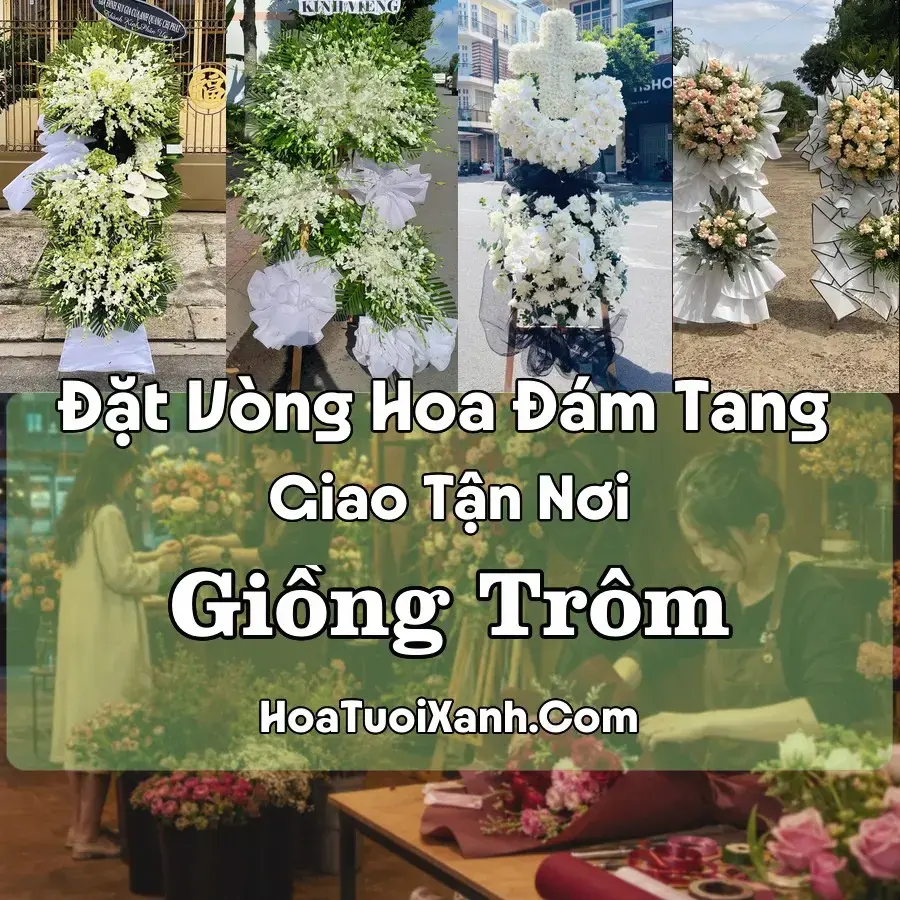 Hoa đám tang Giồng Trôm