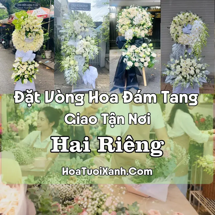 Hoa Đám Tang Hai Riêng (Xã Sông Hinh, Đắk Lắk mới)