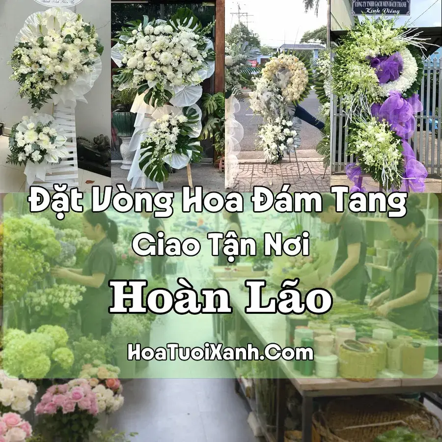 Hoa đám tang Hoàn Lão