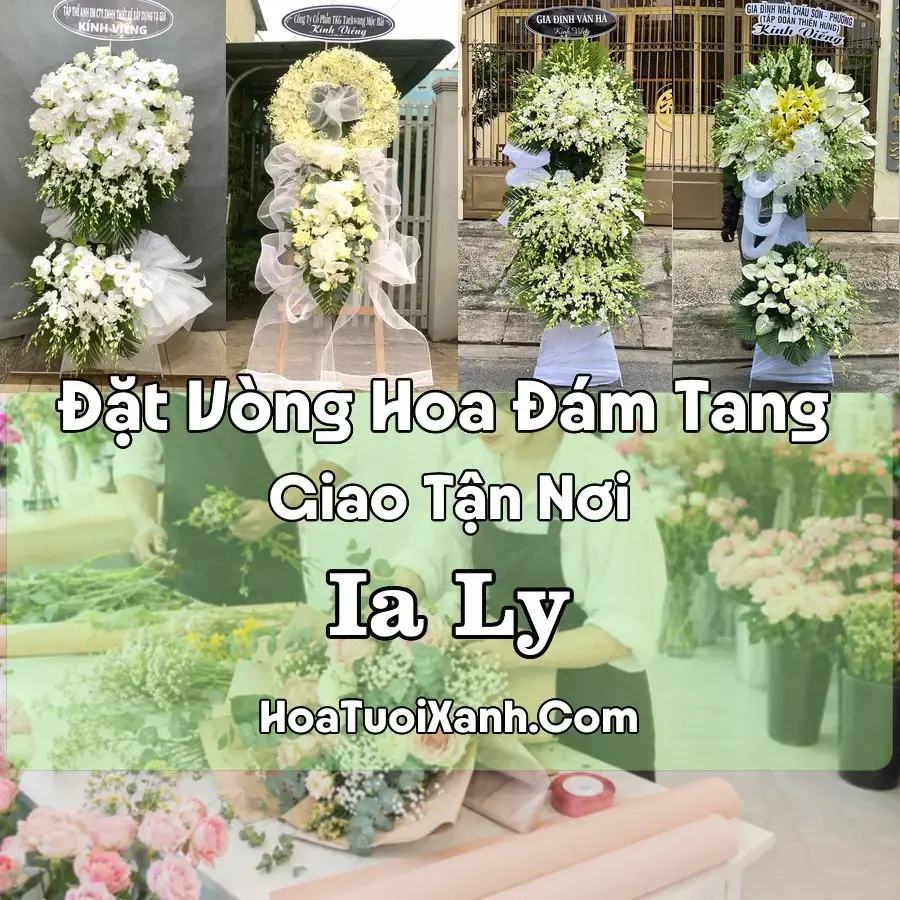 Hoa đám tang Ia Ly