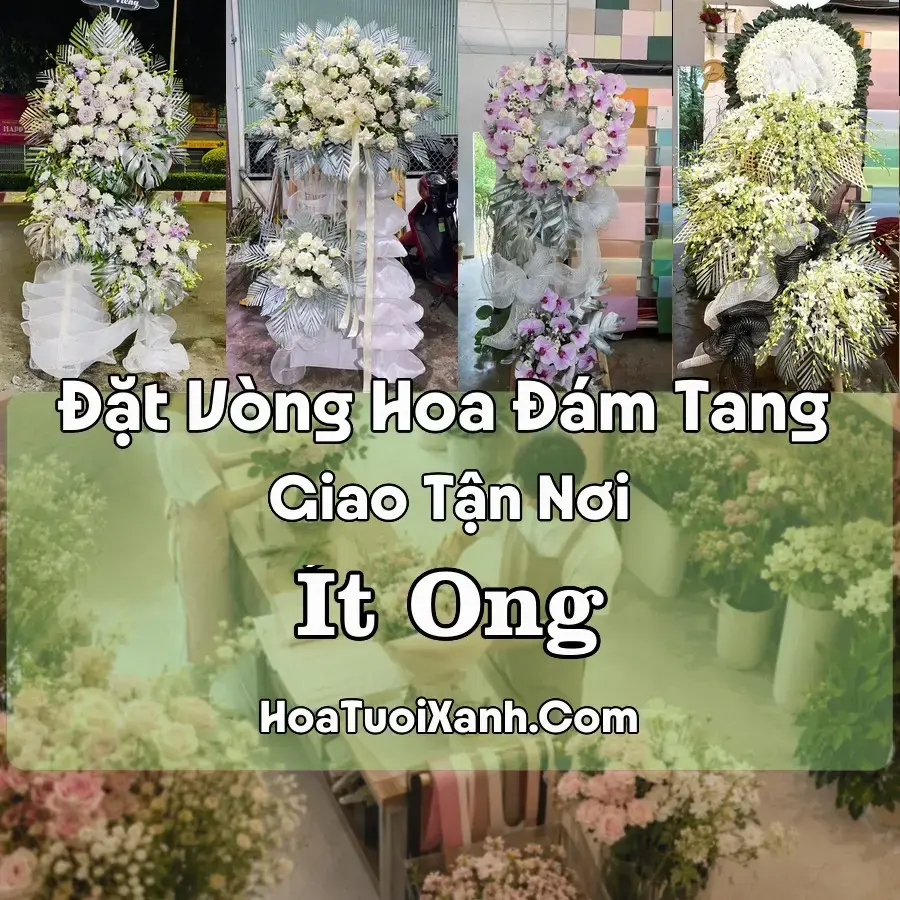 Hoa Đám Tang Ít Ong (Xã Mường La, Sơn La mới)