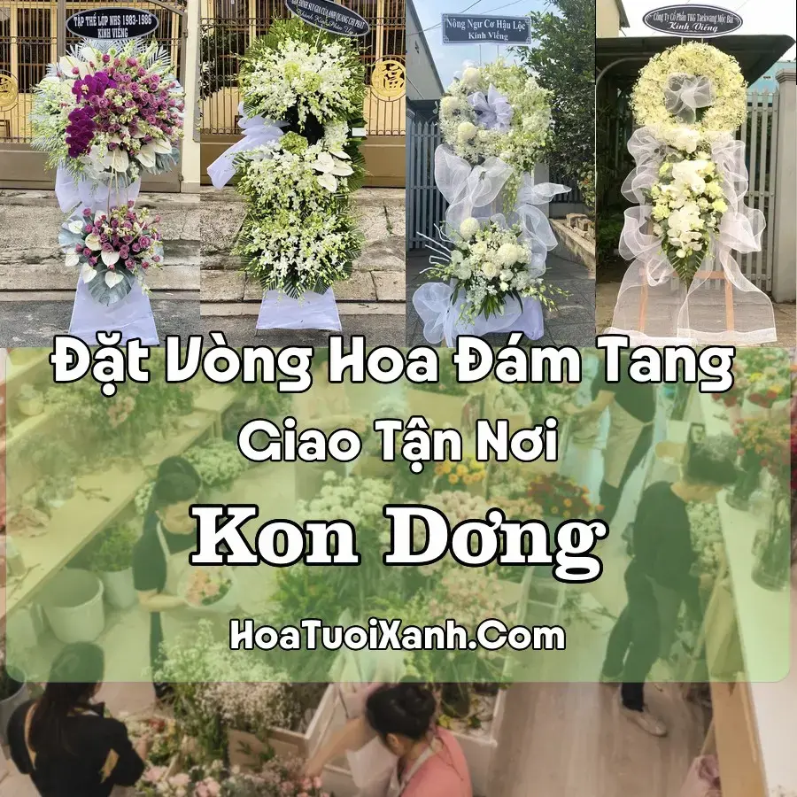 Hoa Đám Tang Kon Dơng (Xã Mang Yang, Gia Lai mới)
