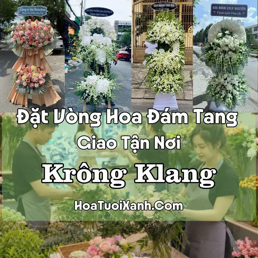 Hoa Đám Tang Krông Klang (Xã Hướng Hiệp, Quảng Trị mới)