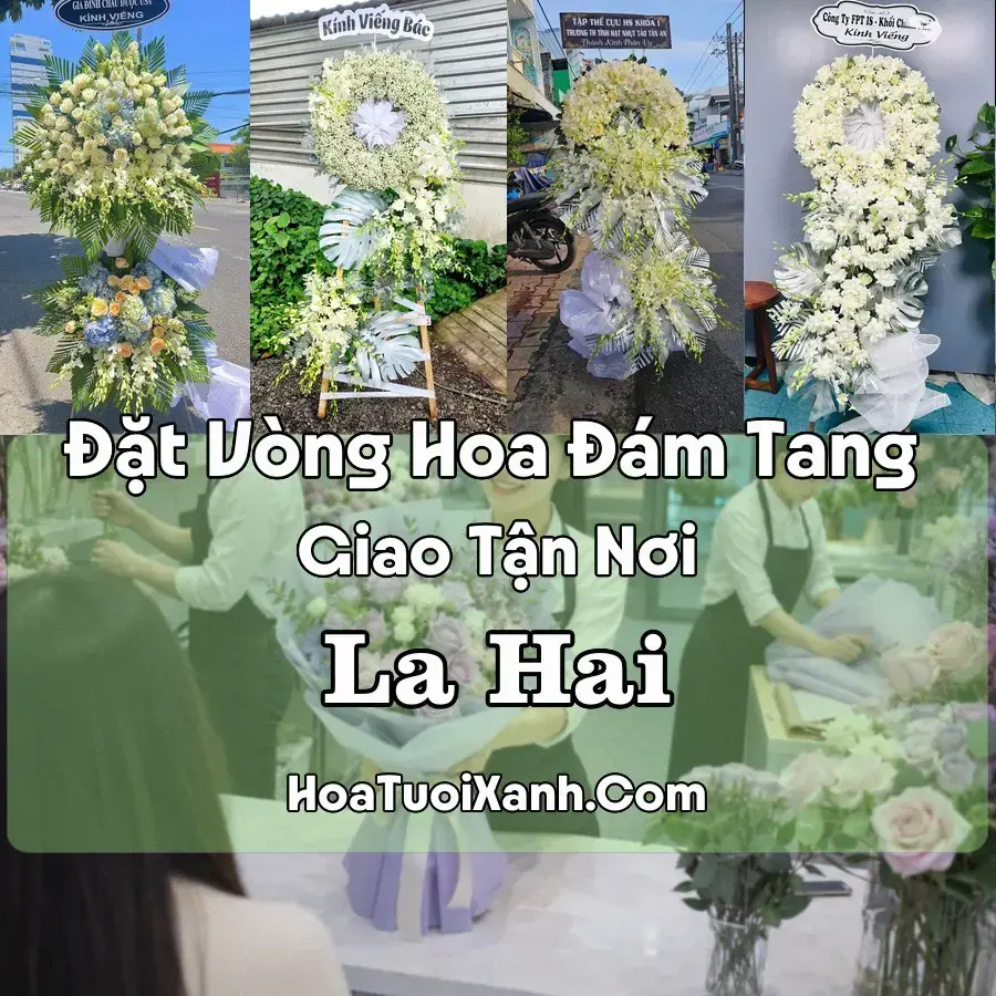 Hoa đám tang La Hai