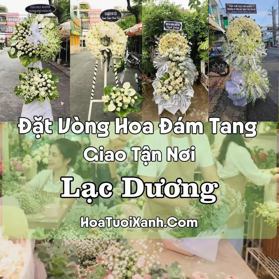 Hoa Đám Tang Lạc Dương (Phường Lang Biang – Đà Lạt, Lâm Đồng mới)