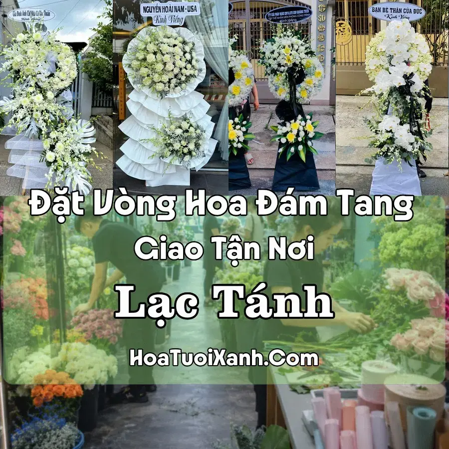 Hoa đám tang Lạc Tánh